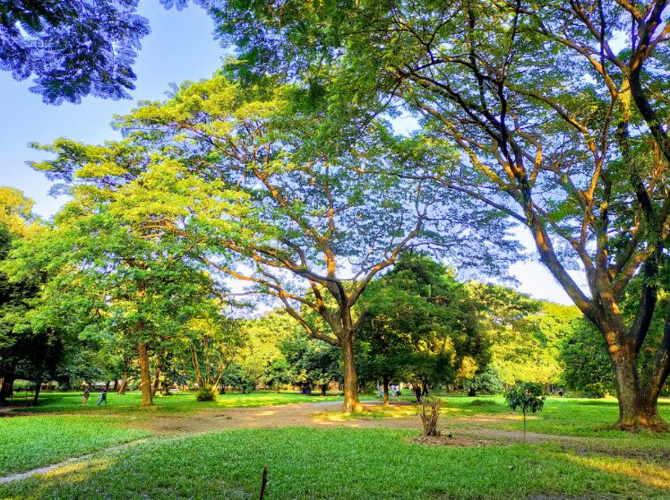 Ramna Park, Dhaka, Dhaka Division, Bangladesh